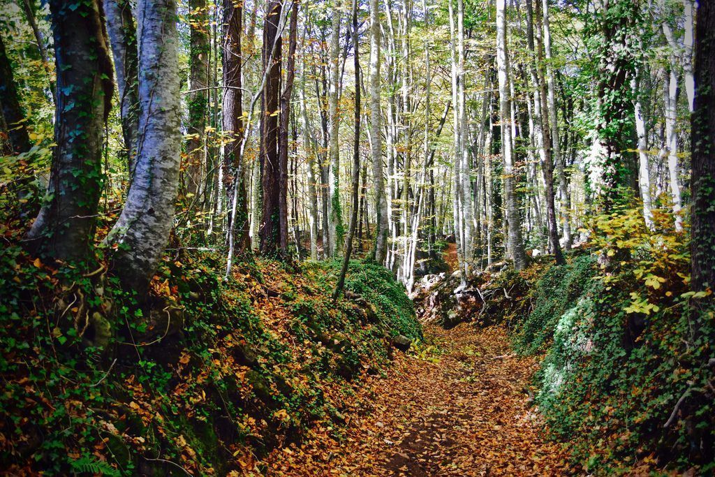 8 lugares de España que no puedes perderte en Otoño