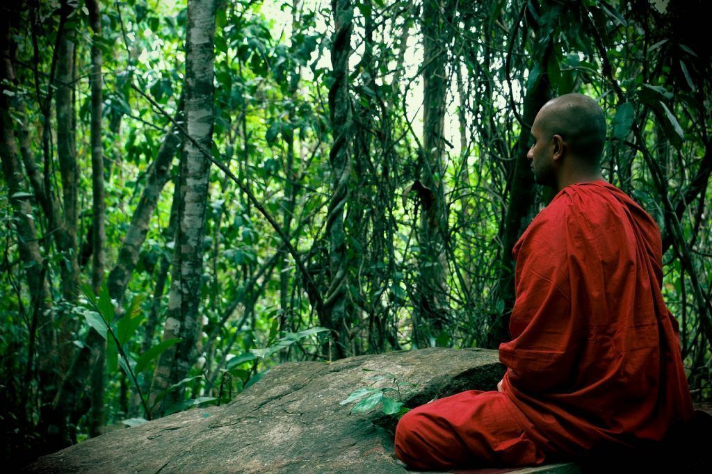 Conoce Sri Lanka, la perla del Índico