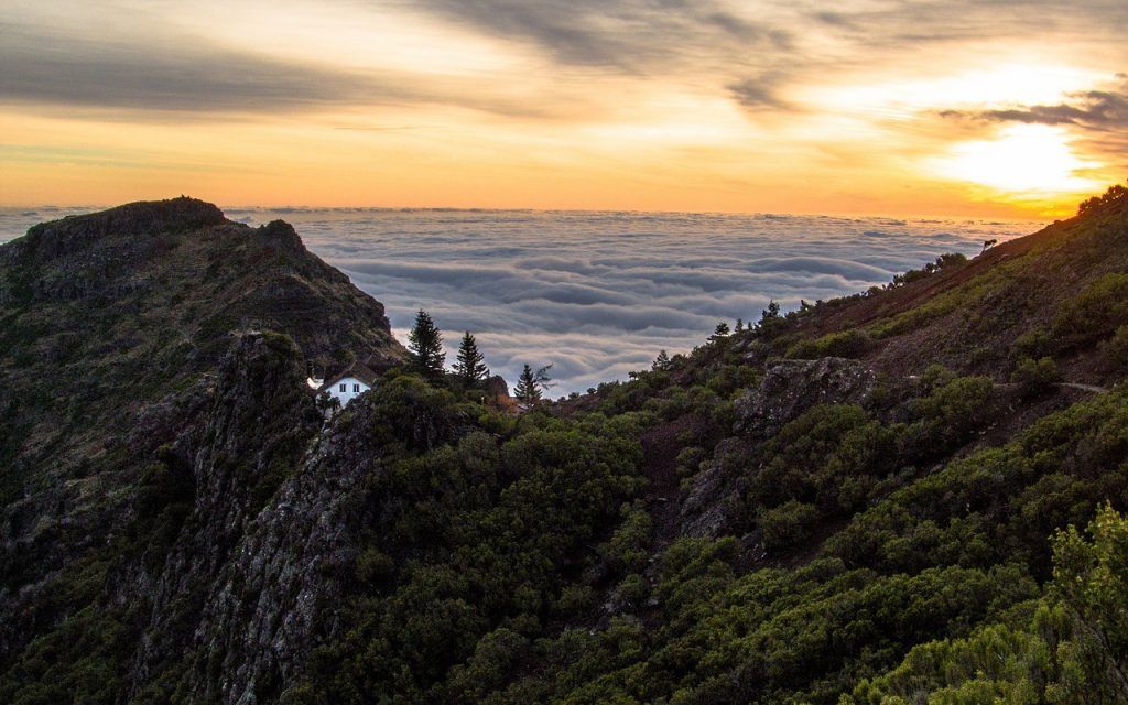 Conoce la isla de Madeira