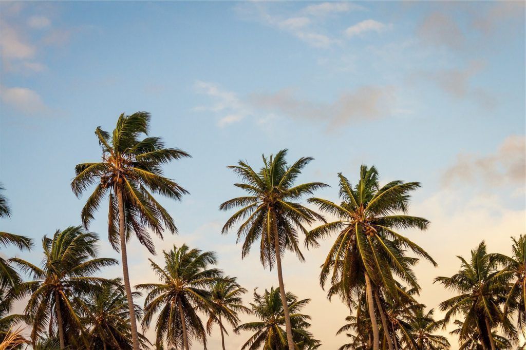 El Caribe: La tierra más hermosa de todas 11 el Caribe