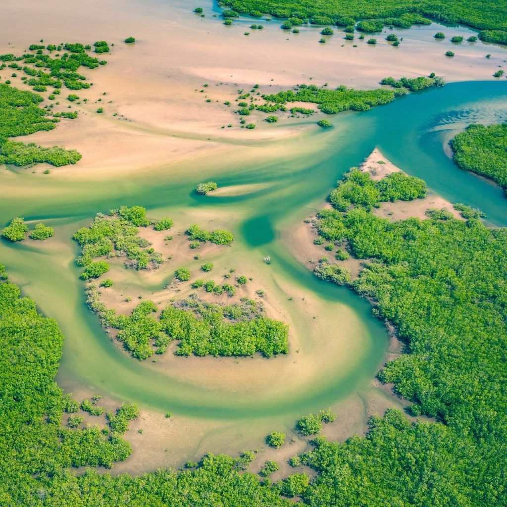 Viaje a Senegal