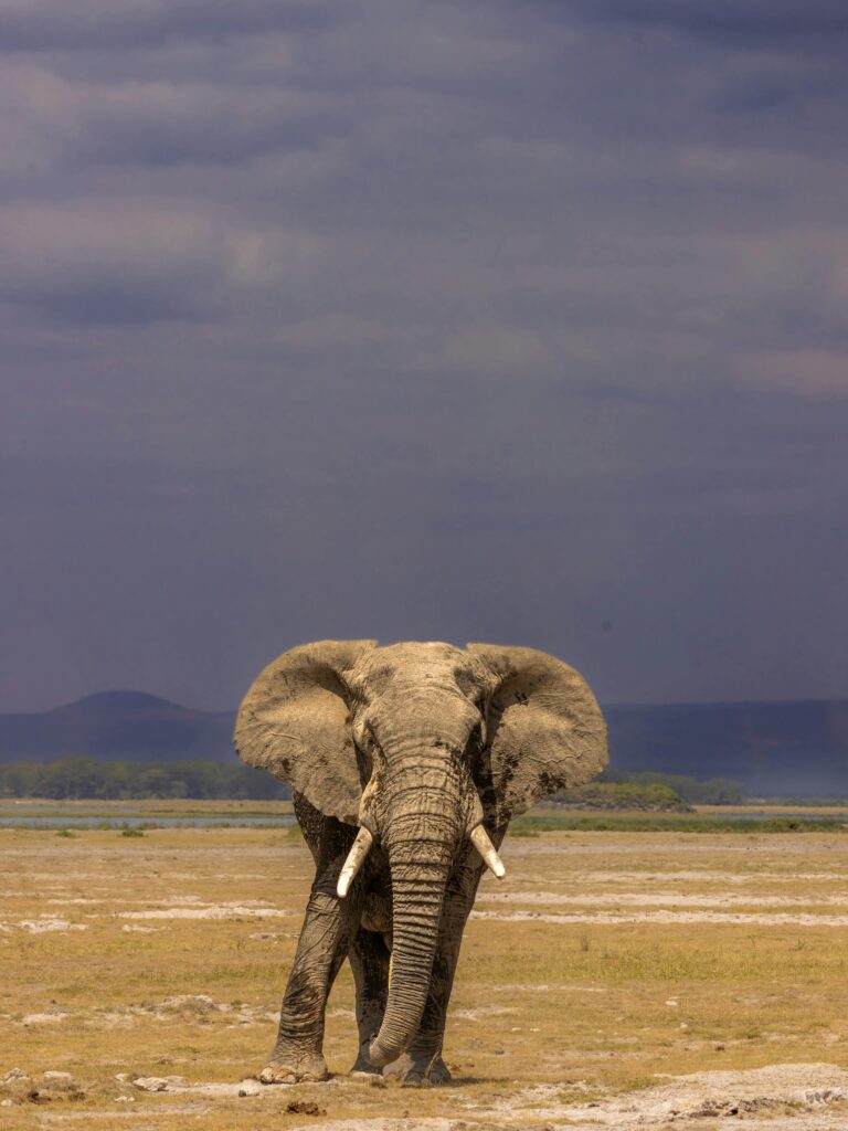 Kenya